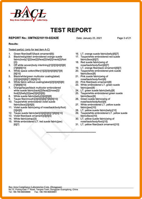 Testing Report