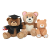 Custom Teddy Bear Plush Toys